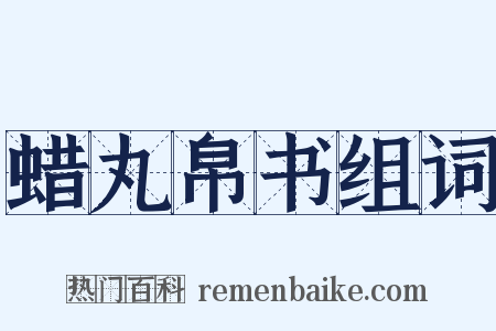 蜡丸帛书组词是什么意思的图片